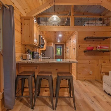 Celina Cabin Nature Cabin Near Downtown Chattanooga Bagian luar foto