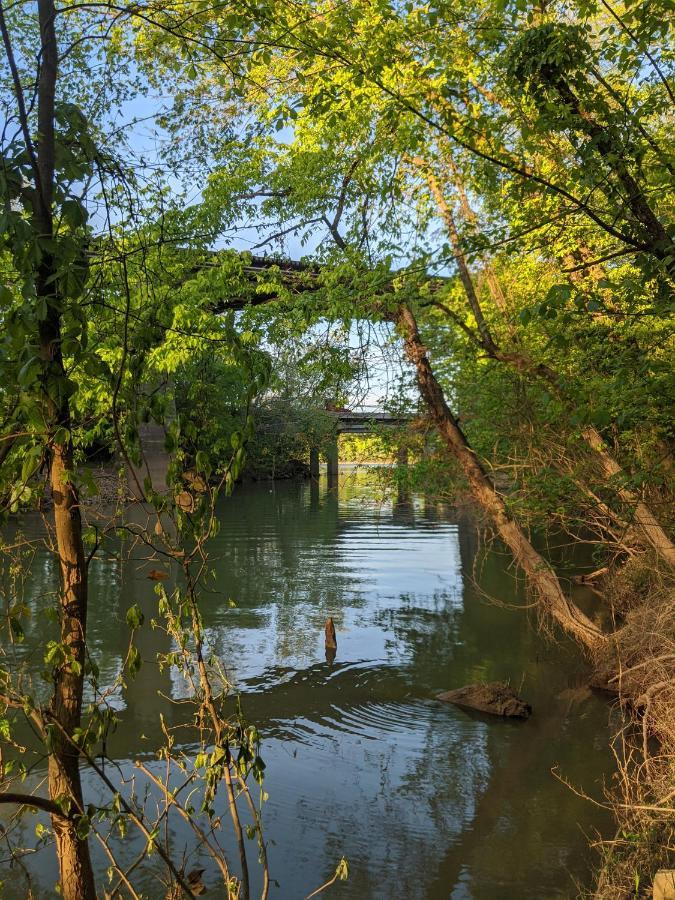 Celina Cabin Nature Cabin Near Downtown Chattanooga Bagian luar foto