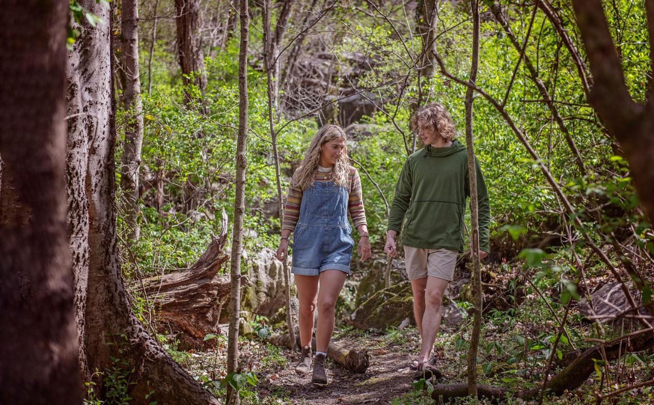 Celina Cabin Nature Cabin Near Downtown Chattanooga Bagian luar foto