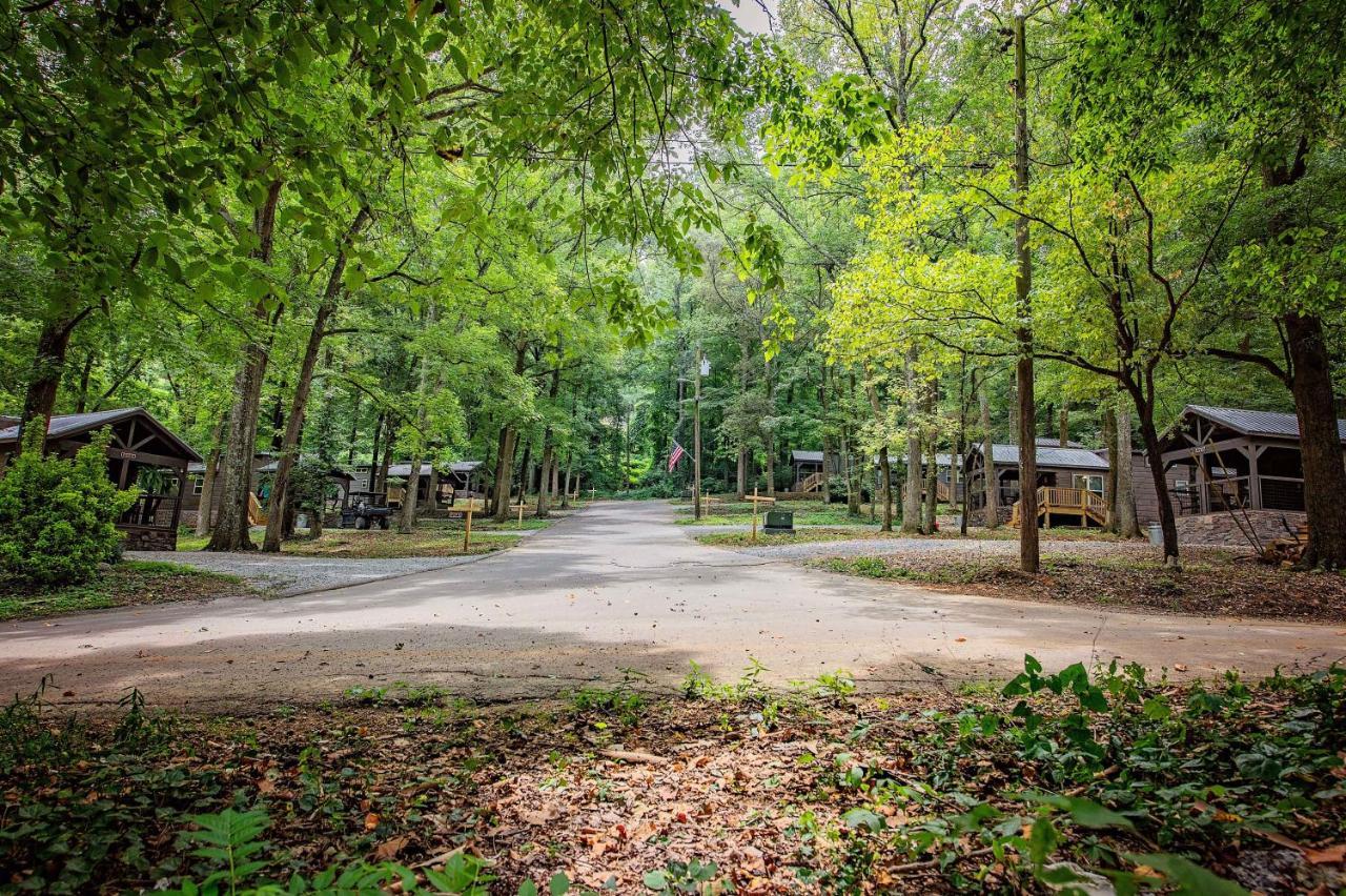 Celina Cabin Nature Cabin Near Downtown Chattanooga Bagian luar foto